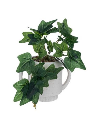 196753 - lierre pot crmq olm blc h24