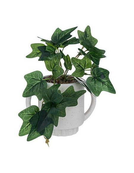 196753 - lierre pot crmq olm blc h24