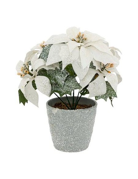 191654 - bch poinsettia bl paill pot 22