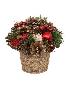 191355 - compo pot houx etoile rg h19cm