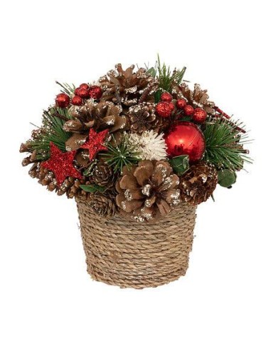 191355 - compo pot houx etoile rg h19cm