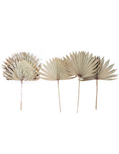 feuille soleil naturel 55cm x3pcs