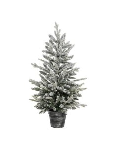 192487 - sapin frosty pot 100cm