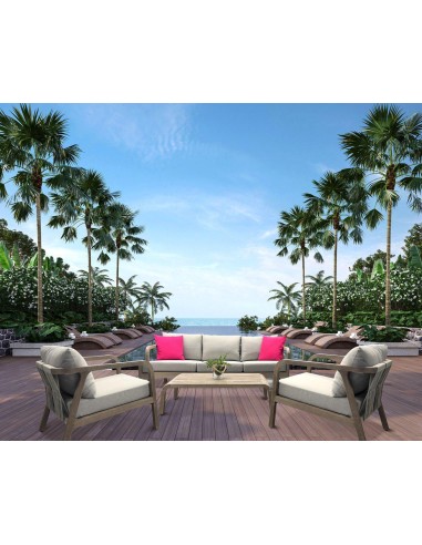 huc39156 +huc39158+huc37677 -  salon palade 3 places + fauteuil + table basse