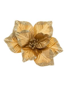 184402 - sdn poinsettia or