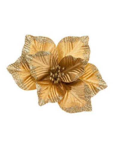 184402 - sdn poinsettia or