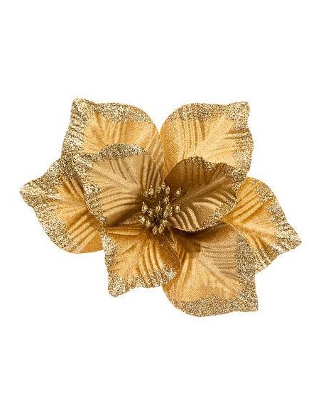 184402 - sdn poinsettia or