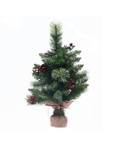 143459 - sapin wyoming 50cm