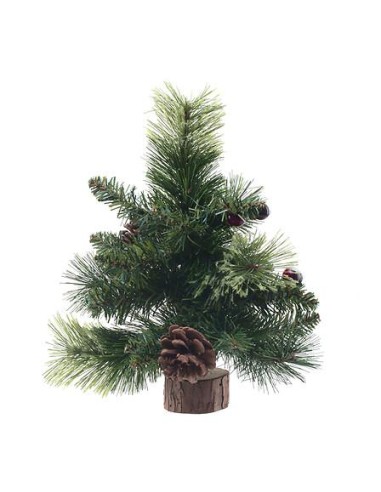 143458 - sapin wyoming 25cm