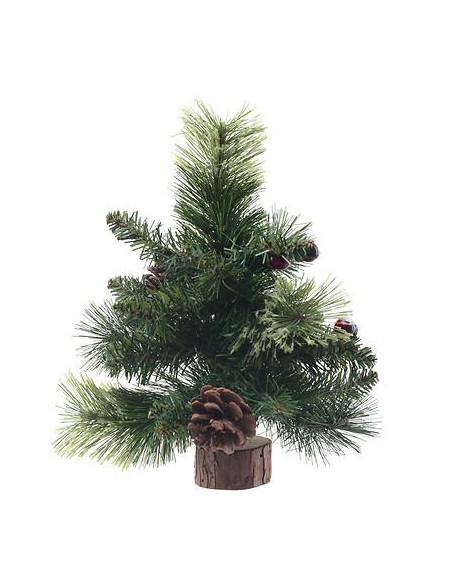 143458 - sapin wyoming 25cm