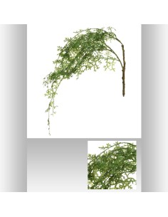 179277 - tige herbe d'eau h83