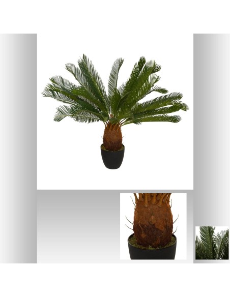 179270 - plante ananas anani h93