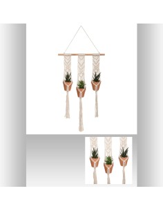 plante x3 susp terra haci h75