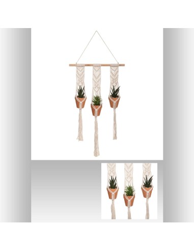 plante x3 susp terra haci h75