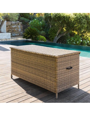 196975a - coffre bayana terre d'ombre s