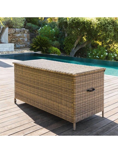 196975a - coffre bayana terre d'ombre s