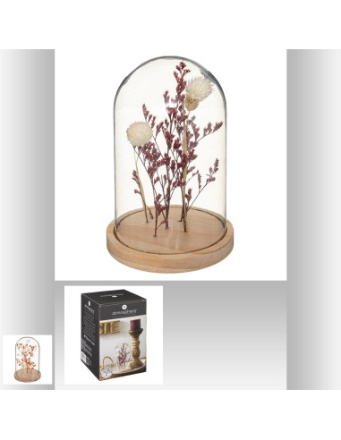 173040-cloche fleur sechee gyps h17