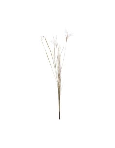 pampas 135cm decoration
