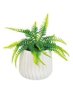 198195 - fougere pot crmq paro blc h33