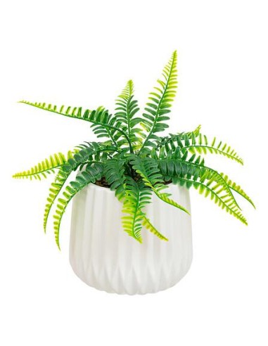 198195 - fougere pot crmq paro blc h33