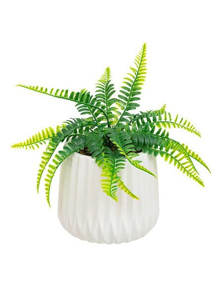 198195 - fougere pot crmq paro blc h33