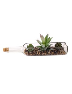plante succulente en bouteille 28x7cm