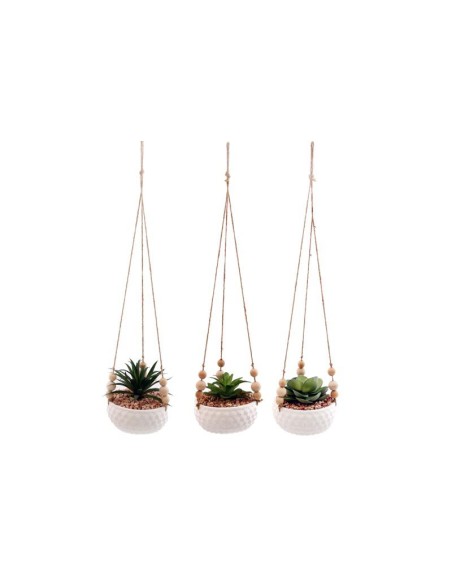 plante succulente a suspendre 55cm