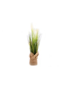 herbe des pampas 65cm