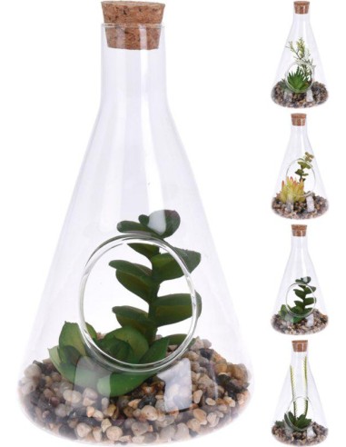 hz1950500-plante dans pot en verre 10x17