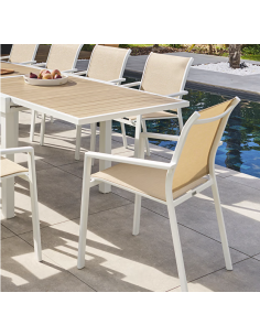 196810c - faut essentia olive/graph