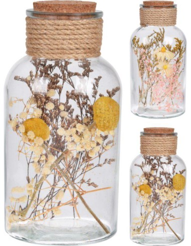 hz1950560-plante dans pot en verre