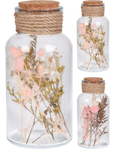 hz1950570-plante dans pot en verre