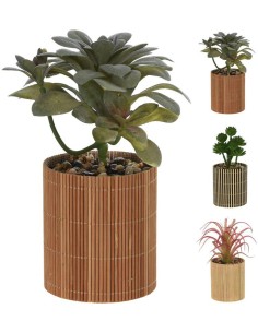 hz1952420-plant in bamboo pot 8x8x19cm