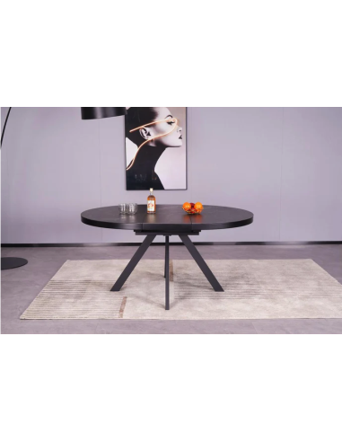 17500ga - table de repas  - roma gris anthracite - lot de 1