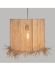 178939-susp raphia haci nat d36