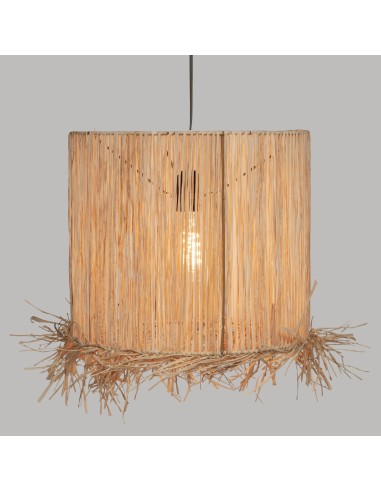 178939-susp raphia haci nat d36