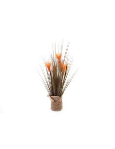 fagot d'herbe orange 65cm