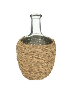 179235 - dame jeanne tresse cuba h31