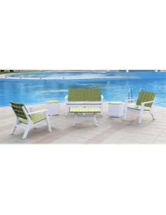 salon central parck 4 places gris