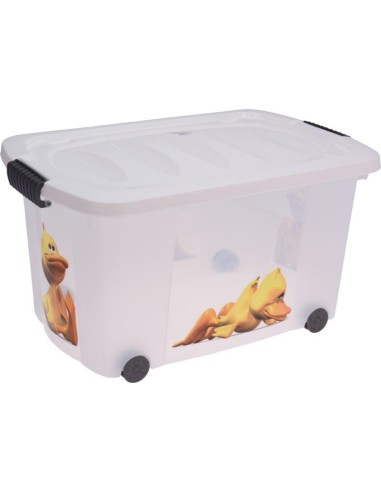 y54809650-boite provisions