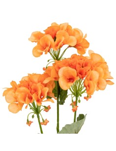 198184 - tige pelargon nolia ass h69