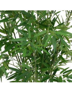 198205 - bambou pot nat ly h100