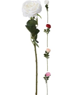 318800220-rose 63cm 4ass