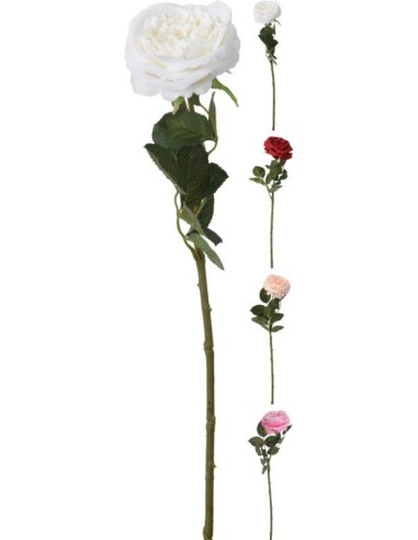 318800220-rose 63cm 4ass