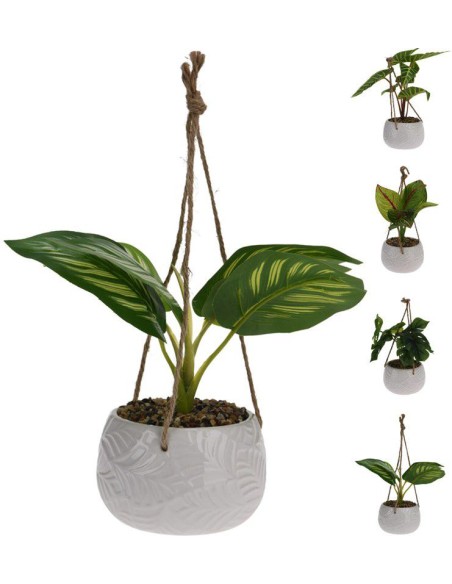 495200010-plant in pot 4ass