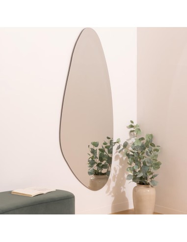 200319 - miroir orga bis aidan 142x60