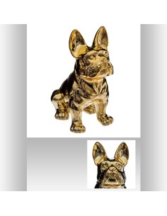 168329 - chien crmq eden h22 dore