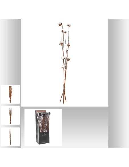 display seche nat h100