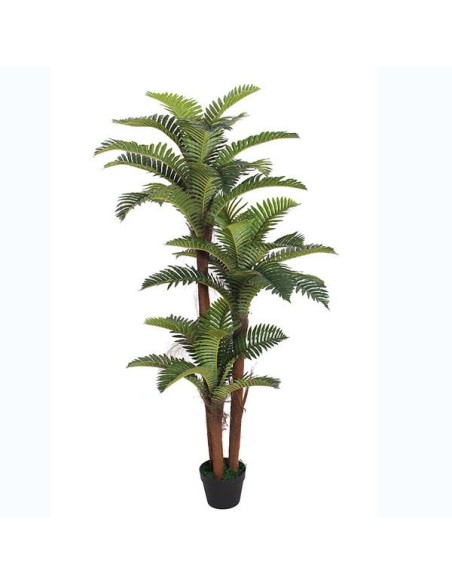 plante pe 40x40x150 palmier vert