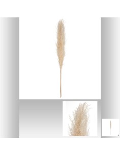 179282 - pampa nat x3 gobi beige h110